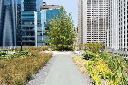 A walkway in the middle of an urban park.