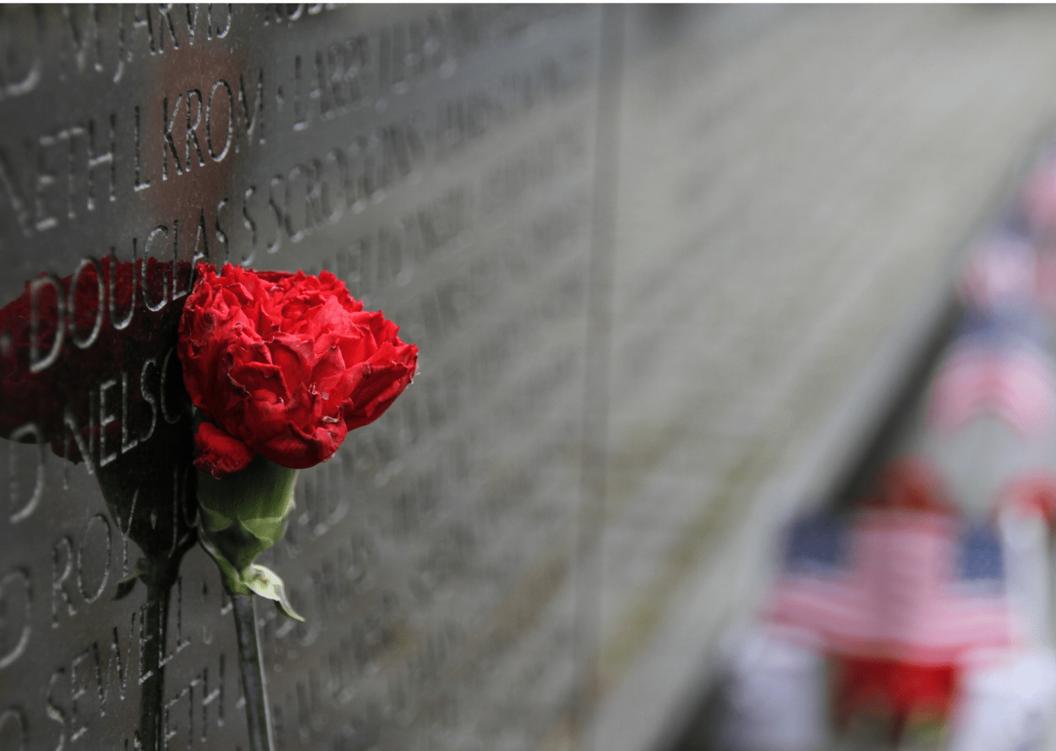 A red rose is on the wall of a memorial.